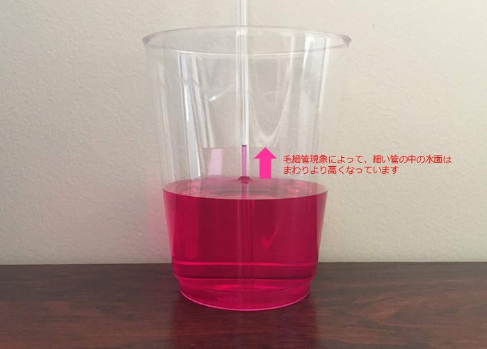 毛細管現象