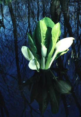 �~�Y�o�V���E