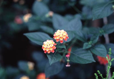 �����^�i